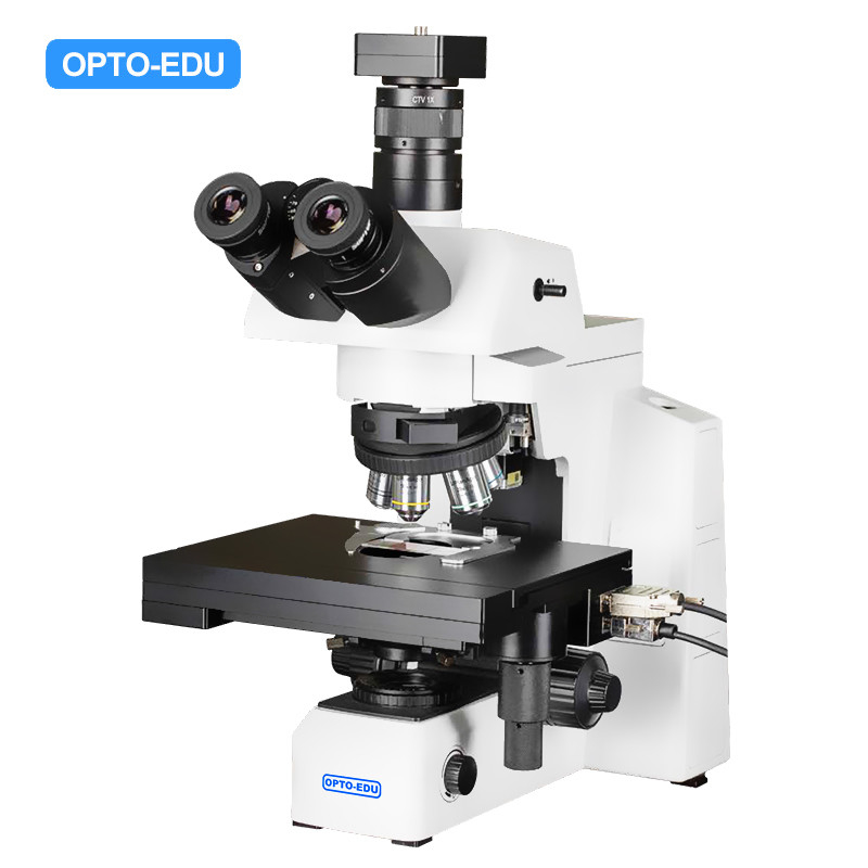 Opto Edu M12.5851 BF XYZ Stage Motorized Laboratory Biological Microscope