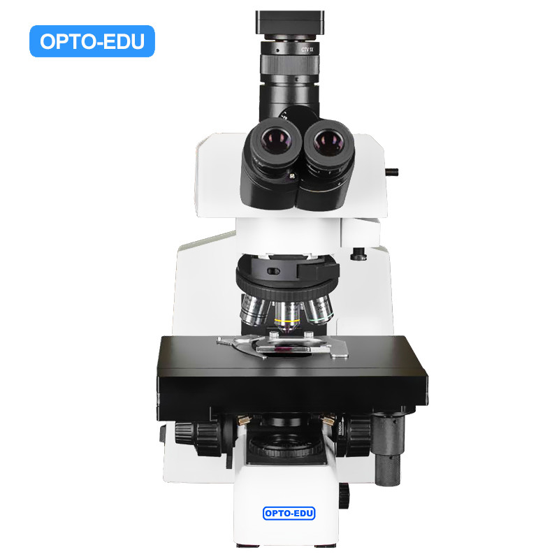 Opto Edu M12.5851 BF XYZ Stage Motorized Laboratory Biological Microscope