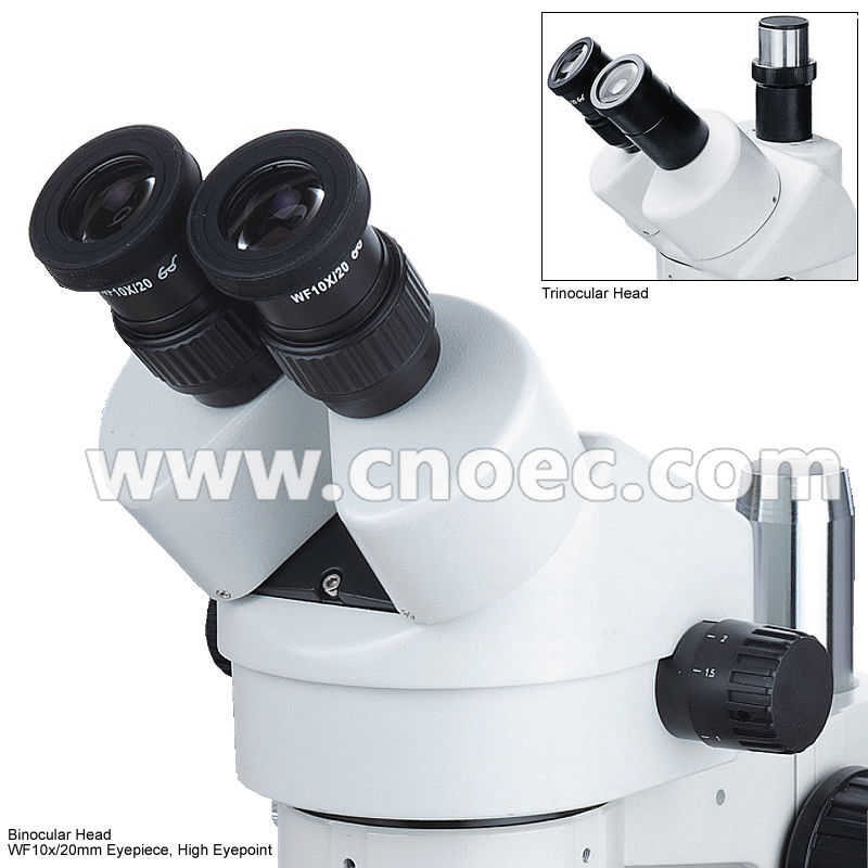 Jewelry Gem Stereo Optical Microscope With Pole Stand , CE A23.0901-B4